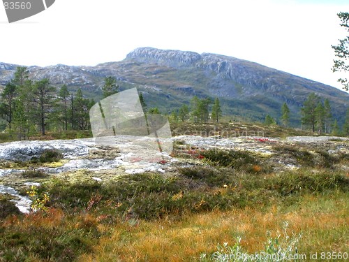 Image of Fall in the mountain