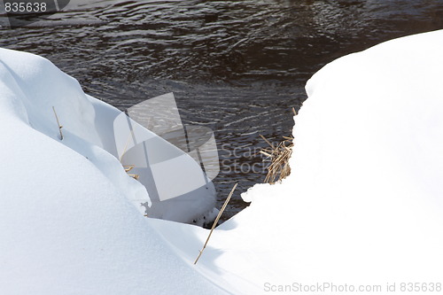 Image of Nature of winter