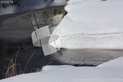 Image of Nature of winter