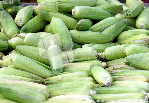 Image of Green corn