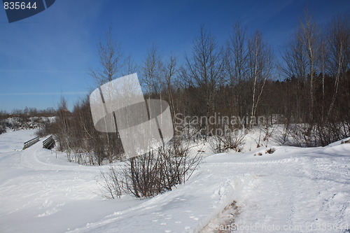 Image of Nature of winter
