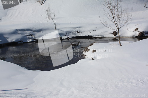 Image of Nature of winter