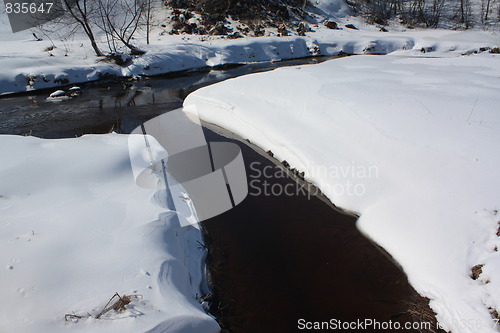 Image of Nature of winter