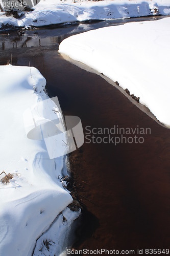 Image of Nature of winter