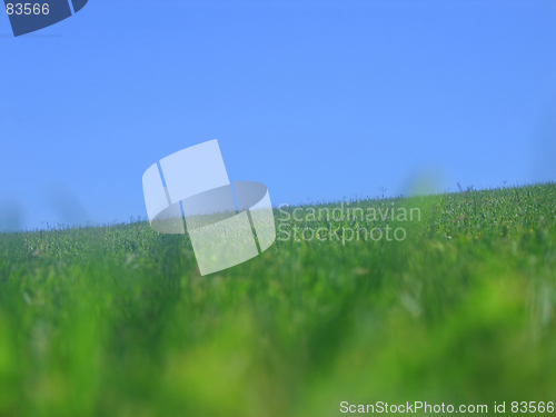 Image of Grass sky