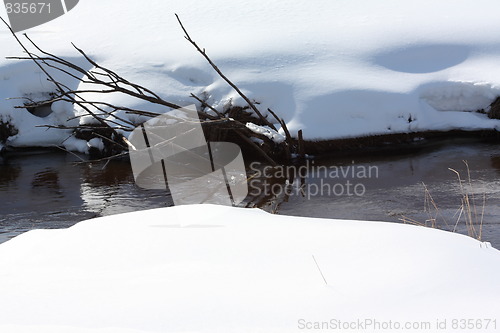 Image of Snow and winter