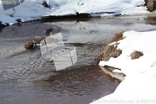 Image of Snow and winter