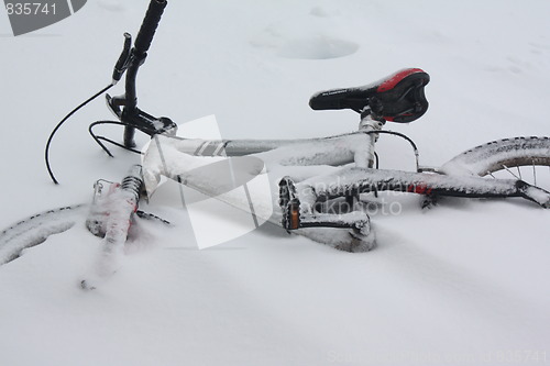Image of Snow and winter