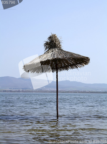 Image of Umbrella in the water