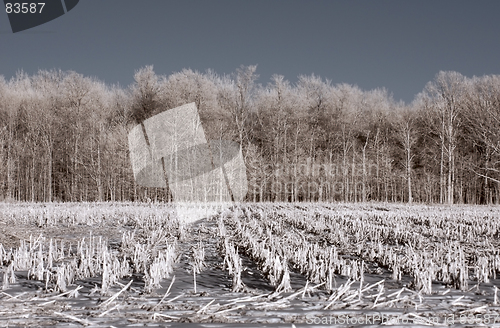 Image of Infrared Farm - Winter Stubble