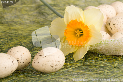Image of Basket with easter eggs and daffodil