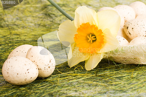 Image of Basket with easter eggs and daffodil