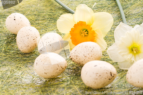 Image of Daffodil and easter eggs