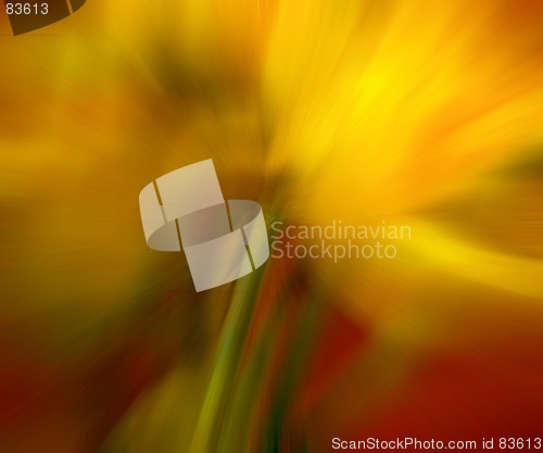 Image of abstract flower