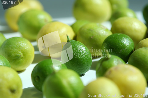 Image of lemon fruit