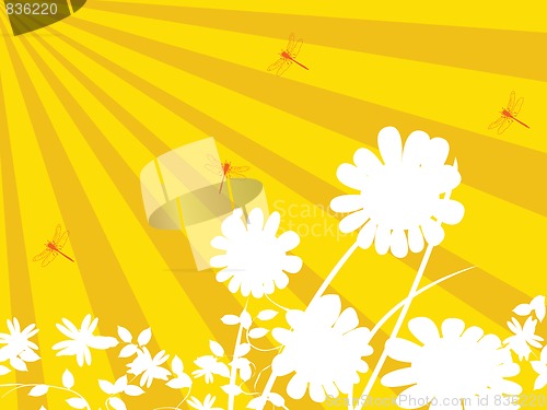 Image of Floral background