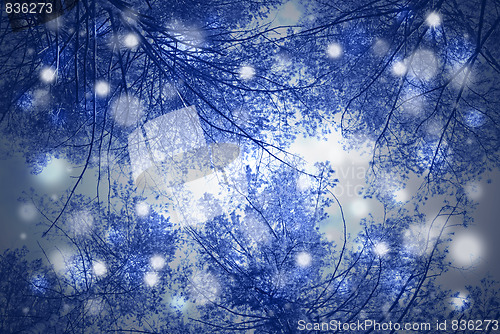 Image of winter background