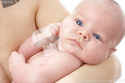 Image of Newborn in mother's hands