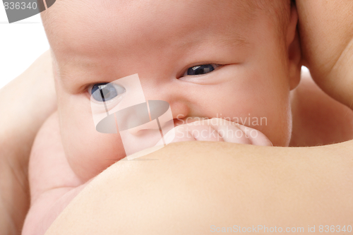 Image of Newborn in mother's hands