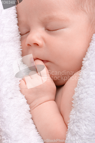 Image of Cute newborn sleeps wrapped in white blanket