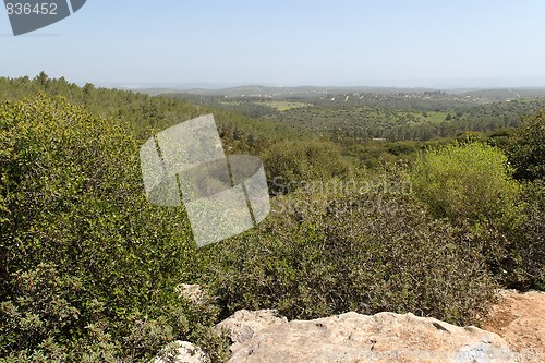 Image of Mediterranean landscape of wooded hills 