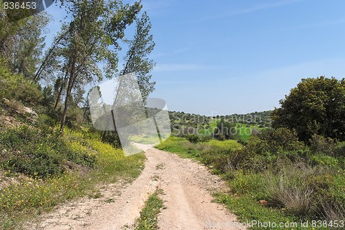 Image of Hiking trail among woods and meadows in bright summer day