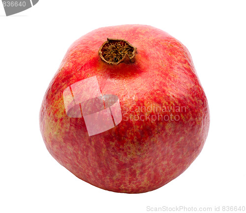Image of Pomegranate