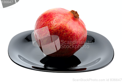 Image of Pomegranate