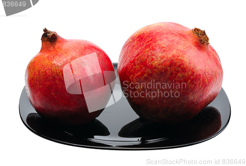 Image of Pomegranate