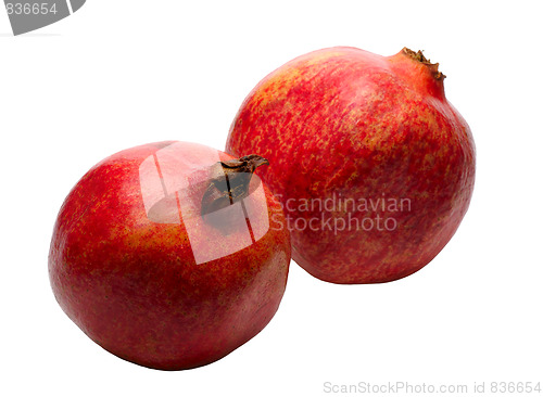 Image of Pomegranate