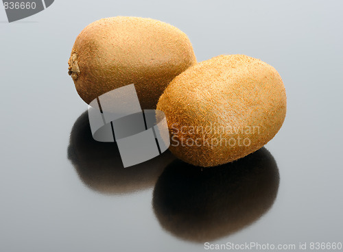 Image of Kiwi on a black background