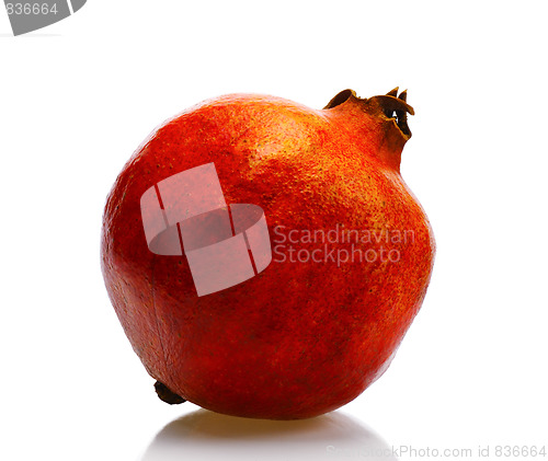 Image of Pomegranate