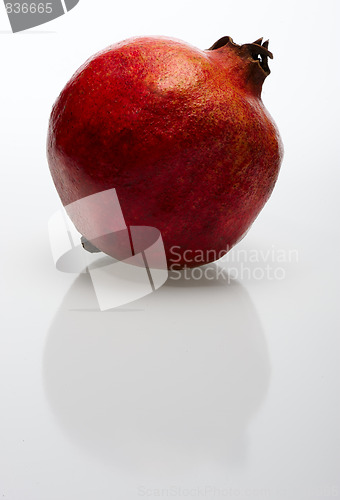Image of Pomegranate
