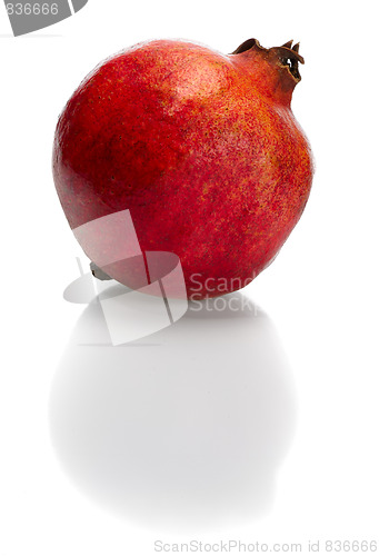 Image of Pomegranate