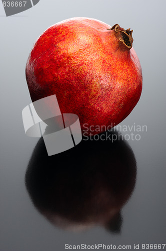 Image of Pomegranate