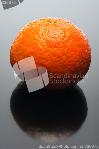 Image of Mandarin