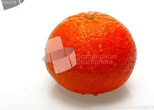 Image of Mandarin