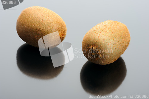 Image of Kiwi on a black background