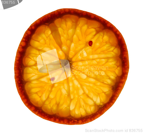 Image of Mandarin slice