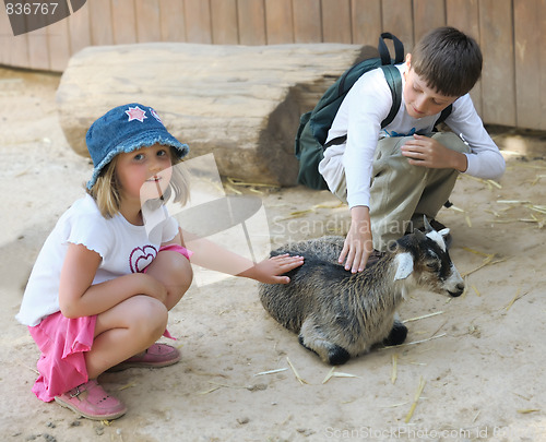 Image of Children and animals in the zoo