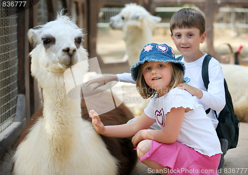 Image of Children and animals in the zoo