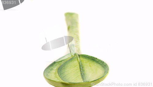 Image of green spoon
