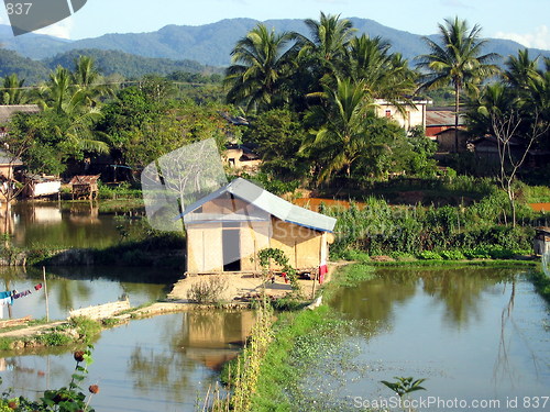 Image of Rice fields and handmade houses. Luang Nam Tha. Laos