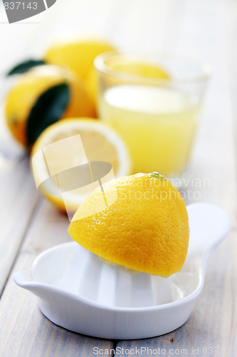 Image of citrus squeezer
