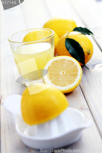 Image of citrus squeezer