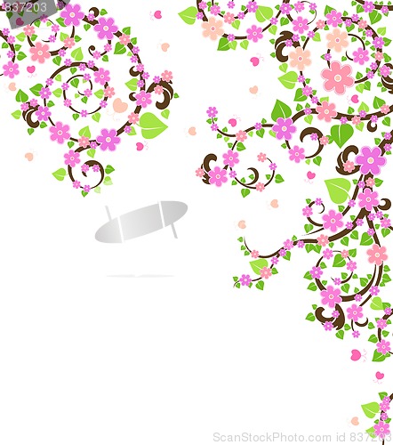 Image of blossom cherry tree