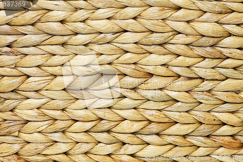 Image of Rattan