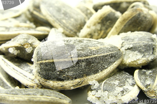 Image of salt nugget