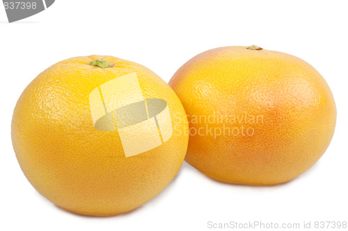 Image of Zwei Grapefruits