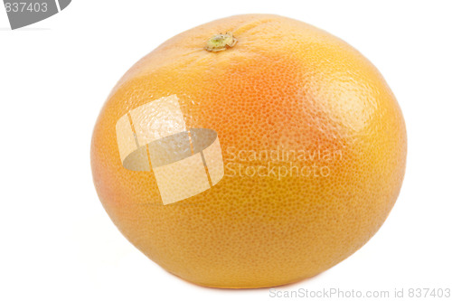 Image of Grapefruit isolated